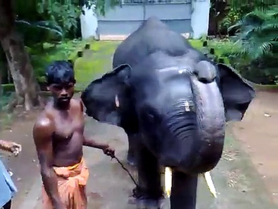 Ramu