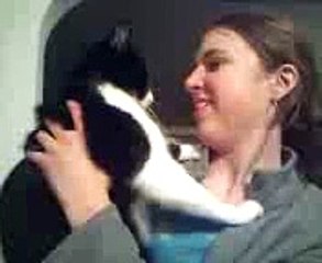 OWNED. Don't mess with fatty cat!