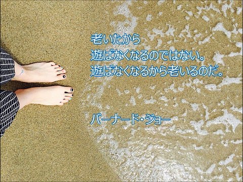 ビイプラスプランニングの経営知恵袋「バーナード・ジョー」