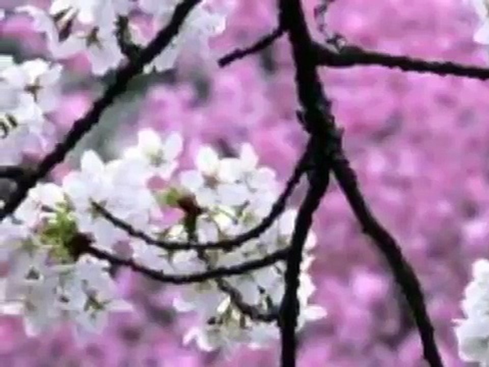 Blessed Be The Name Of The Lord