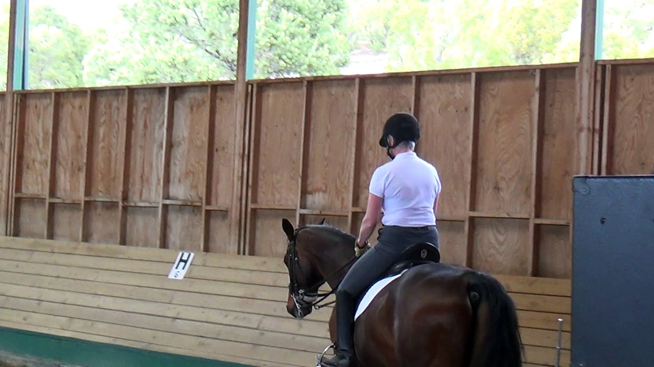 May 17, 2015 riding Bonito with Mary Wanless noticing vs trying
