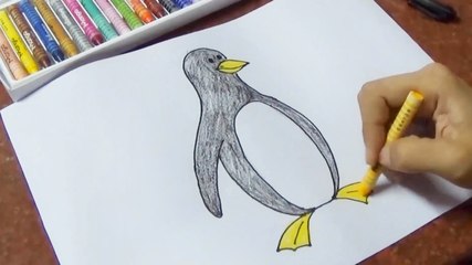 How to draw a Penguin for kids - step by step - easy / Cách vẽ chim cánh cụt
