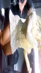 Loira dança com Nego do Borel e irrita namorada dele