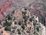 Condors over Grand Canyon