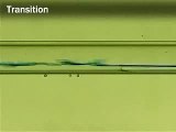 Flow transition from Laminar to Turbulent pipe flow