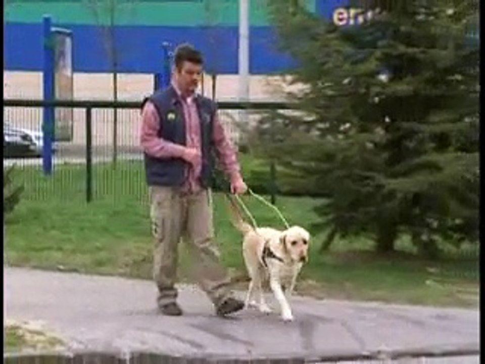 Croatian Guide Dog and Mobility Association