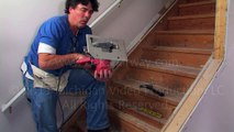 How to remove the nosing from a stairway so you can add a new oak stair tread.