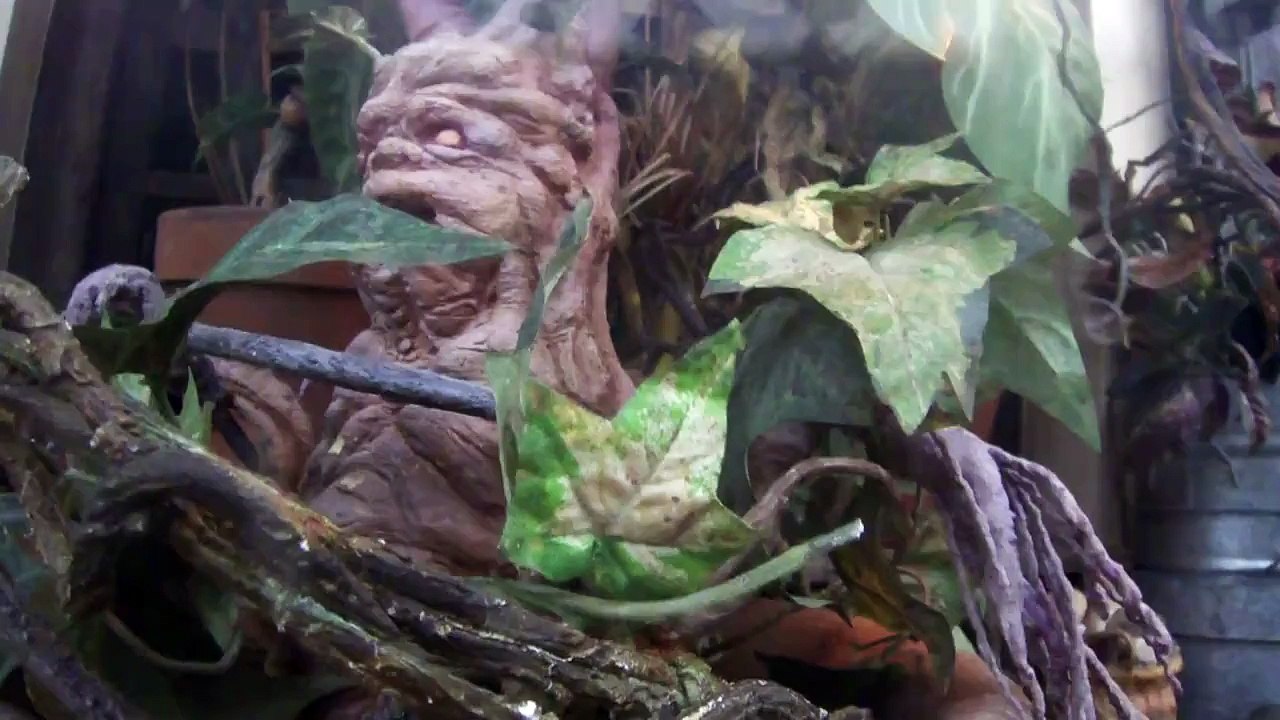 Screaming Mandrake