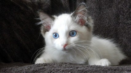Un regard à vous y plonger dedans !