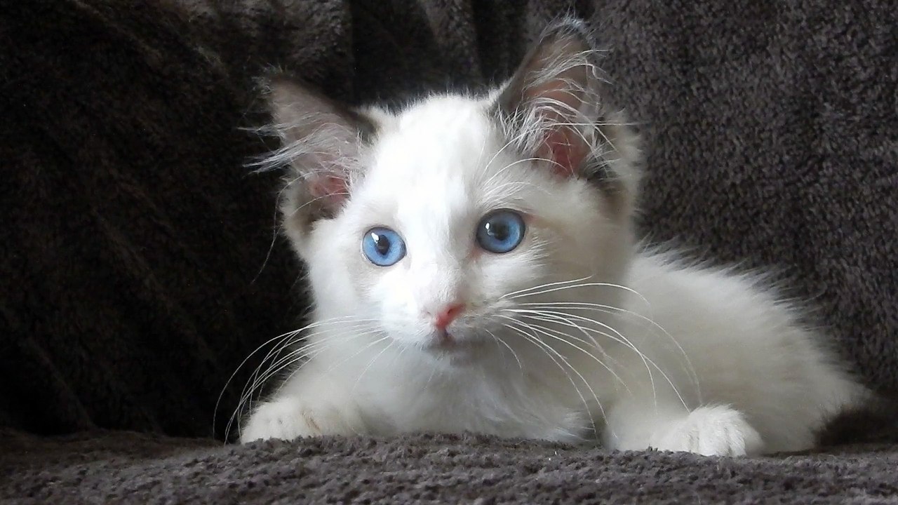 Un regard à vous y plonger dedans !
