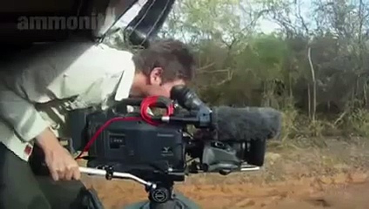 Night Stalkers: Leopard Battleground NatGeoWild