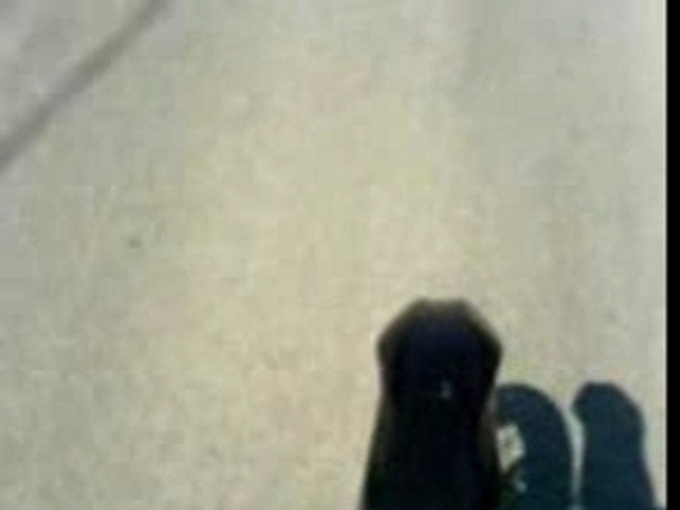 Caméra Embarqué de la DT