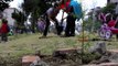 Vecinos de Benito Juárez reforestan el camellón de Río Mixcoac