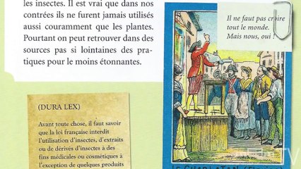 Coup de cœur sciences | Insectes comestibles