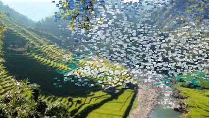 Jeremy Eveland like world wonderful places