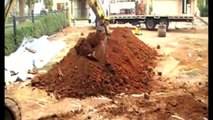 Dial A Digger Pool Excavation Dingo Bobcat Excavator Earthmoving and Trenching Contractor Hire