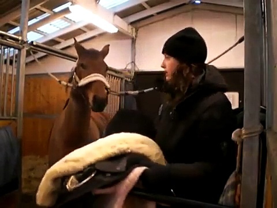Jag sadlar och tränsar Lady