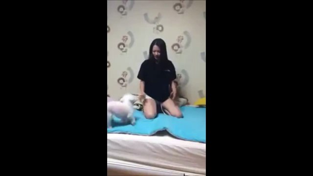 Owner pretends to be dead: Dog leaps into action