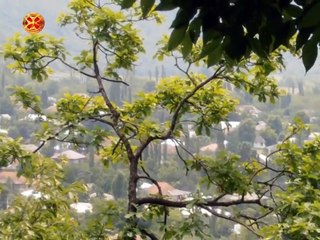 2014.11.18 ჰერეთი-5, კასრის სამება და გიში.