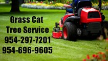 754-214-4659 | Stump Grinding Fort Lauderdale, Tree Trimming, Stump Grinding, Expert Tree Service