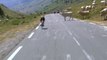 Cinq étapes où des animaux ont gêné les cyclistes au Tour de France