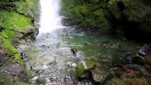 Des dizaines de bébés phoques s'amusent dans une cascade