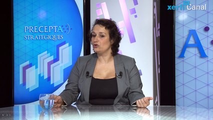 Marina Bastounis, Xerfi Canal La Grèce et l'Europe : les malentendus interculturels