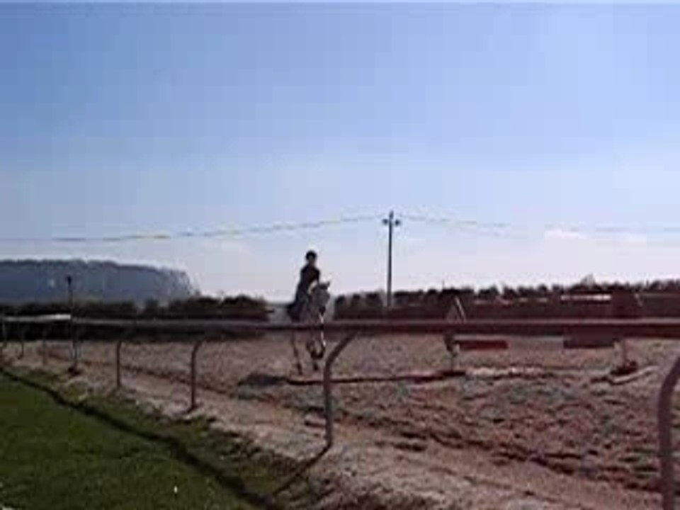 Petit test pour aller en forêt