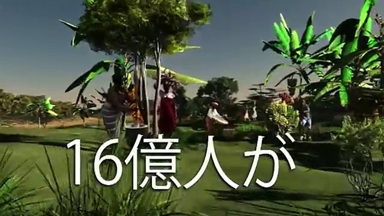 日本語 2011 | HD (Japanese)