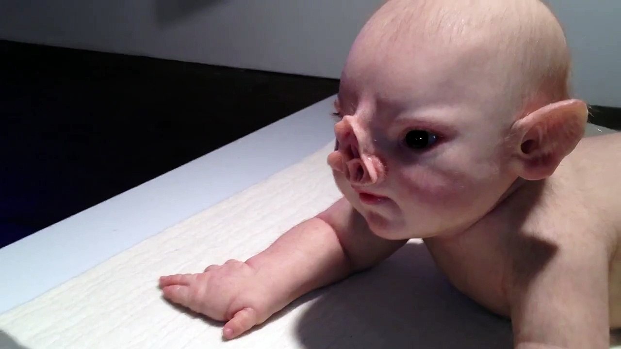 Patricia Piccinini's PRONE Video