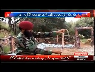 SSG Commandoes Eating Snake