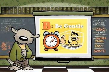 Professor Dog Crate Training Video Cartoon