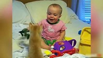 Funny Dogs and Cats  Funny Baby Compilation   Funny Videos 2015