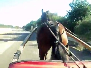 monet re dei cavalli.