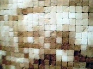 Oscar Muñoz, Galerie de l'UQAM, Montréal