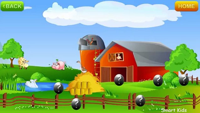 Domestic animals for kids | Pets for children | What are the Pets | What are the Domestic Animals