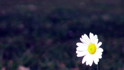 10MINUTESAPERDRE - CAMPAGNE 2012