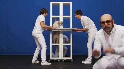 OK Go White Knuckles