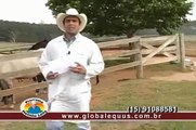 Programa Helinho Lélis - TV Muares (2)