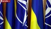 НАТО не сможет поддержать украинские ВМС
