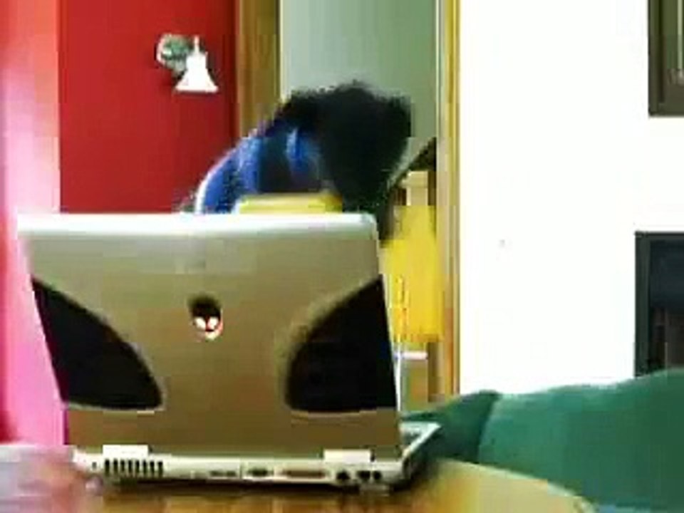 CIA Casefile: 'Murphy' Heeling