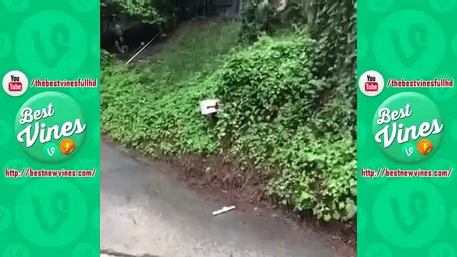 Vine Compilation Funny Vines Popular Vines Best New Vines Best Vines 2015 Vines January #4