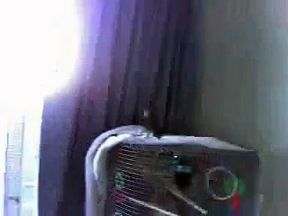 Love Bird Masturbating