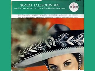 Mariachi Tenochtitlan de Heriberto Aceves  La Culebra