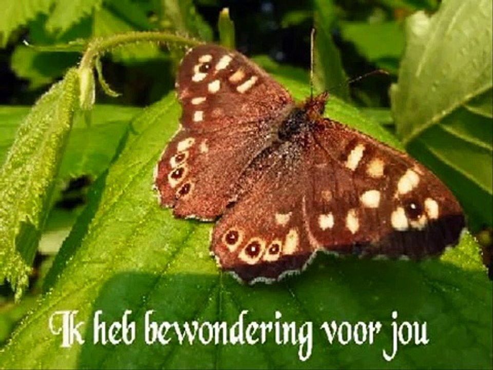 Marco Borsato - Geef het een beetje tijd