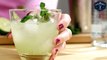 Minted Man Cocktail Recipe - Le Gourmet TV