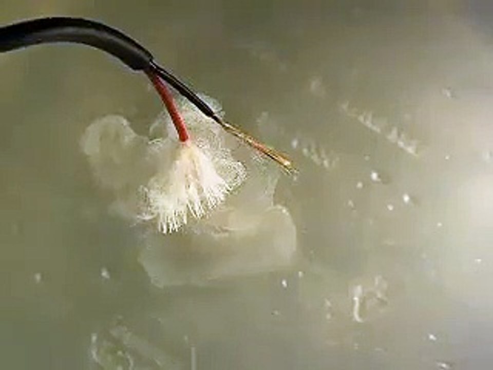 Extract H2 and O2 From water (5)