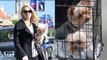 Amber Heard Charged By Australian Authorities Over Dog Smuggling