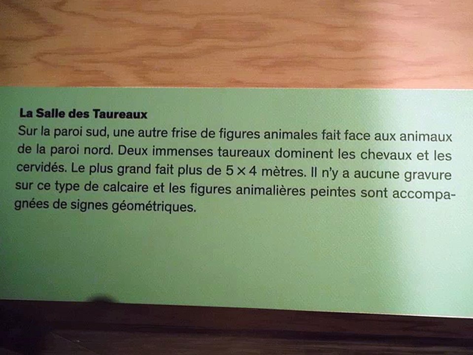 Lascaux 3: repro sur bois