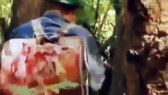 Animal Planet Wolf Documentary 2015 HD - Wild Balkan Nat Geo Wild Documentary